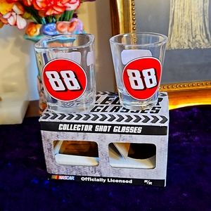 Dale Jr Round & Square Nascar Shot Glass Set